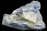 Vibrant Blue Kyanite Crystal - Brazil #80390-1